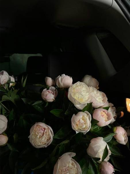 Rosas premium San Valentín